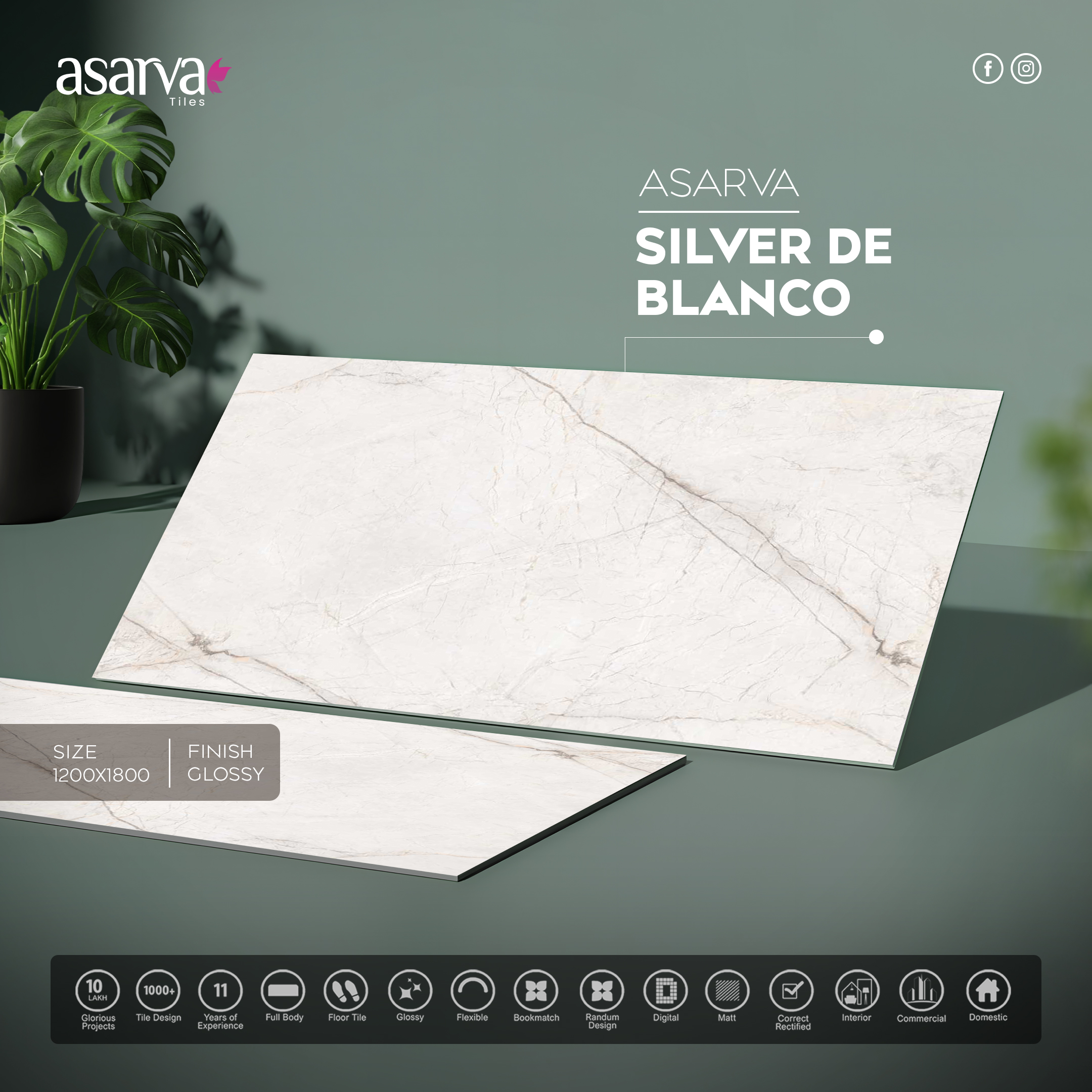 SILVER DE BLANCO